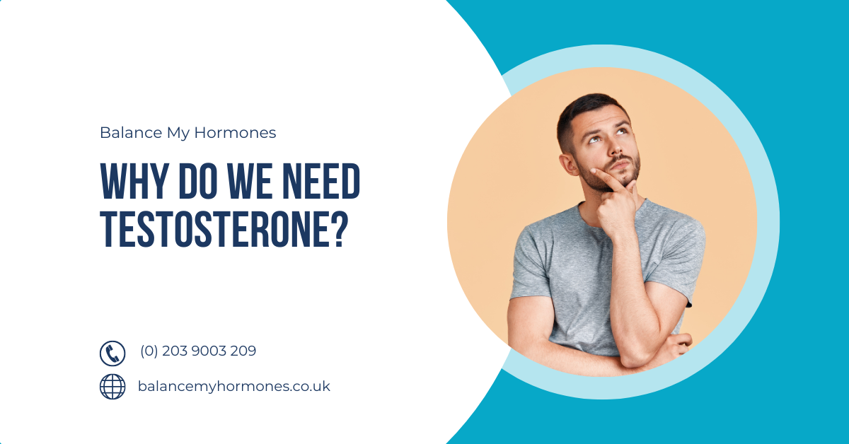 Why Do We Need Testosterone?