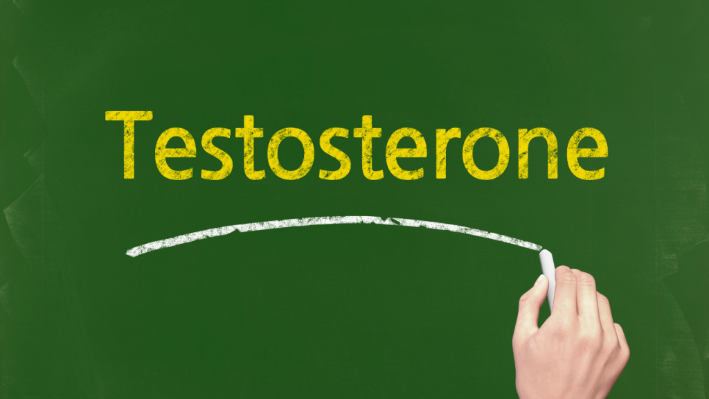 what does testosterone do