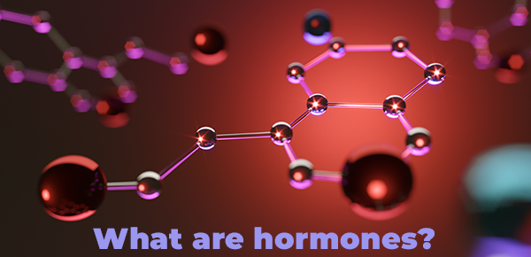 what are hormones