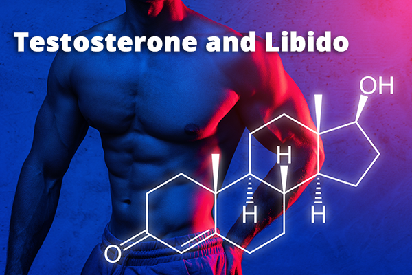 Testosterone & Libido: Analysing the Connection
