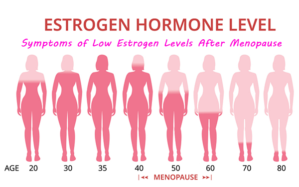 symptoms of low estrogen levels after menopause