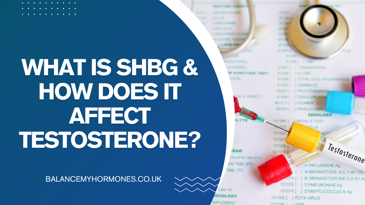 What is SHBG & How Does It Affect Testosterone?